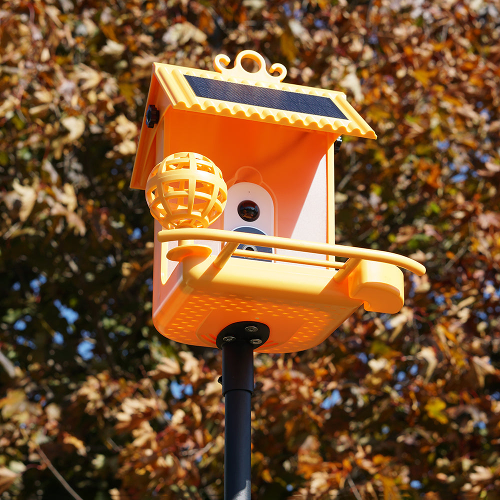 Hello Birdie Smart Bird Feeder Ground Stake Limitless Innovations