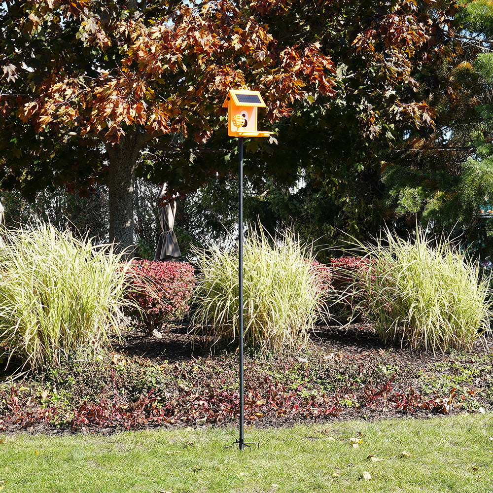 Hello Birdie Smart Bird Feeder Ground Stake Limitless Innovations