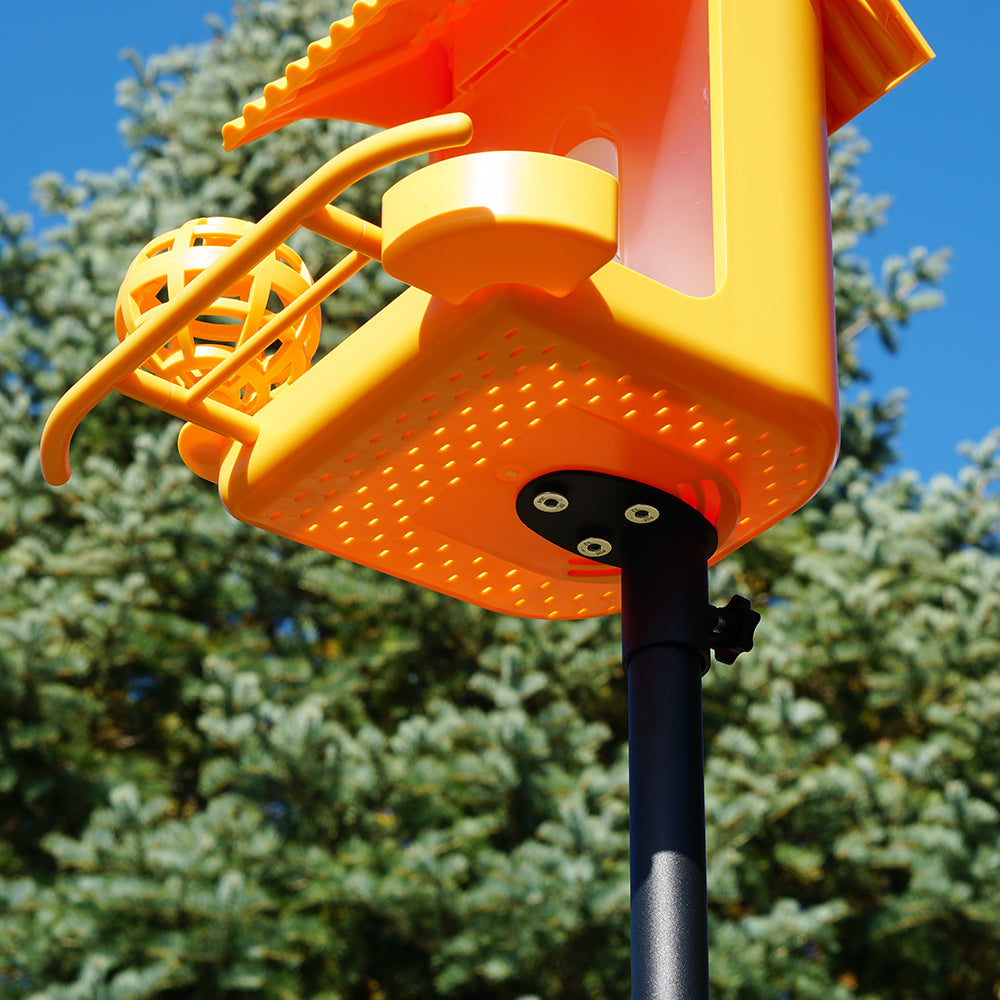 Hello Birdie Smart Bird Feeder Ground Stake Limitless Innovations