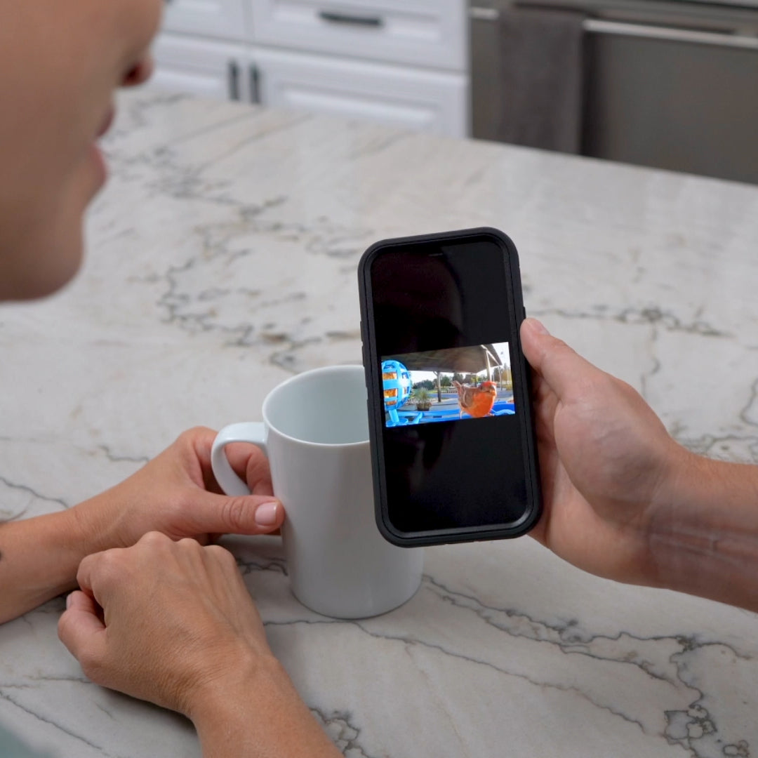Hello Birdie Smart Bird Feeder with AppBased Recognition Limitless