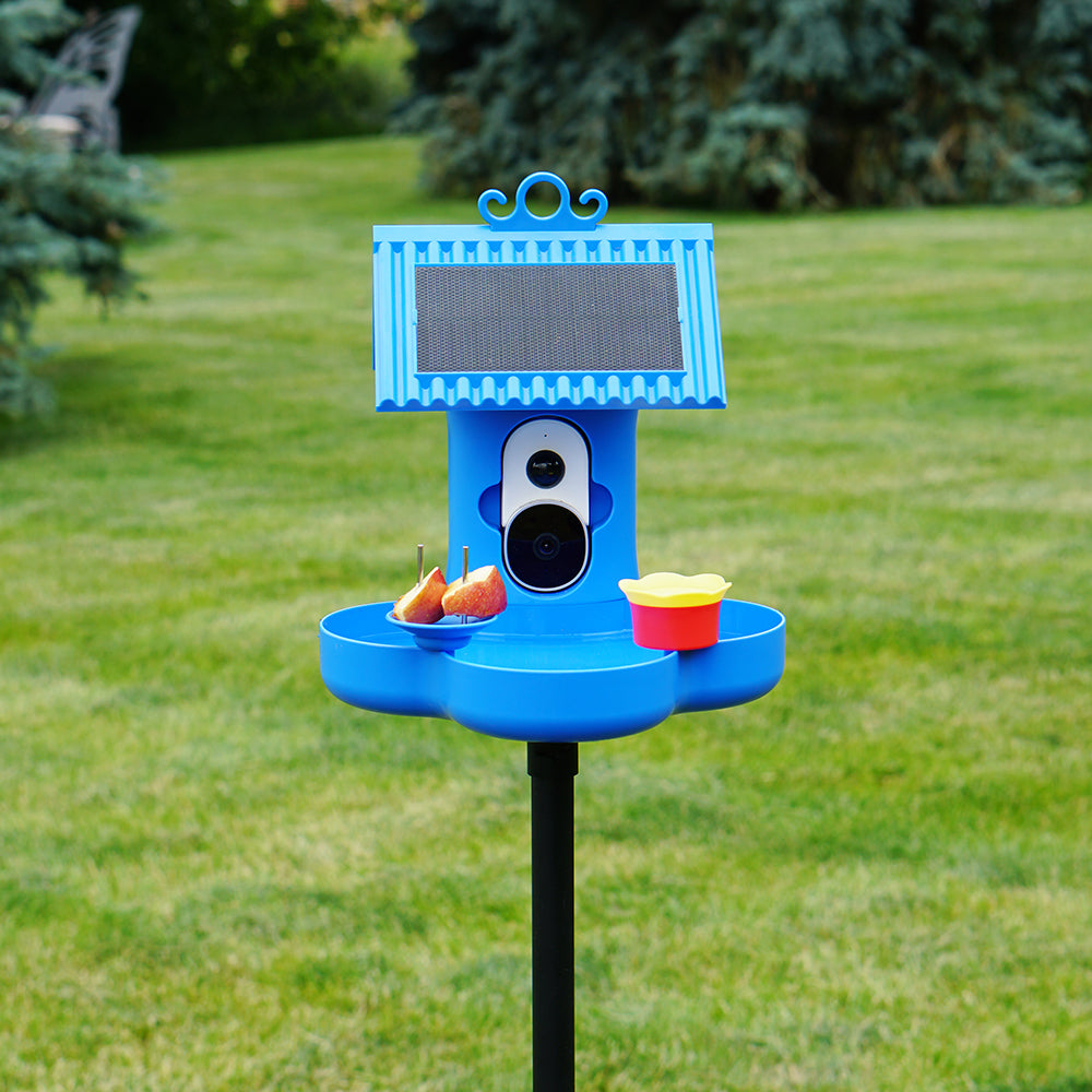 Hello Birdie Smart Bird Bath with App-Based Recognition– Limitless ...