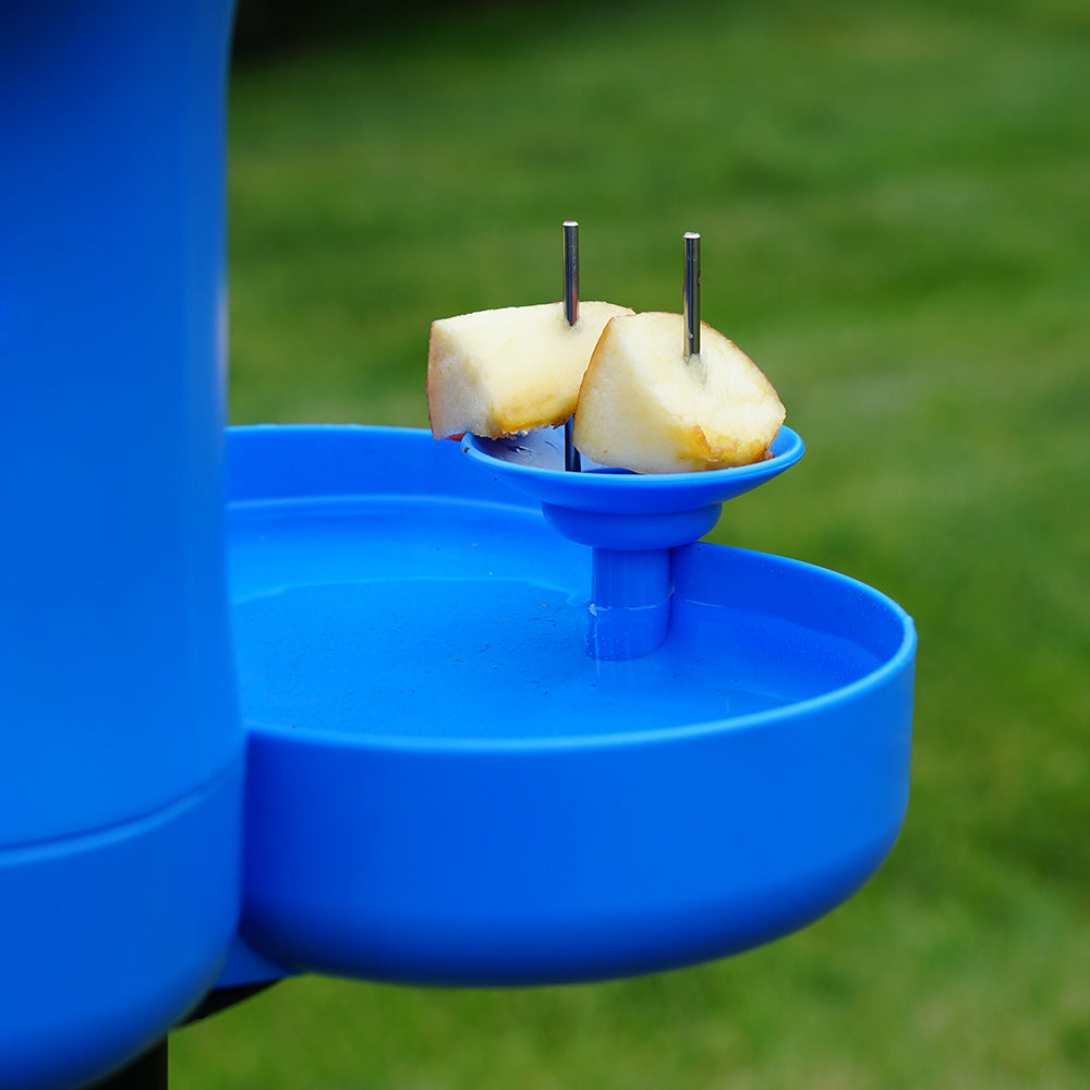 Hello Birdie Smart Bird Bath with App-Based Recognition– Limitless ...