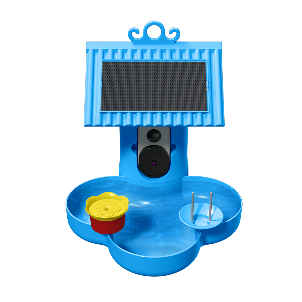 Hello Birdie Smart Bird Bath with App-Based Recognition– Limitless
