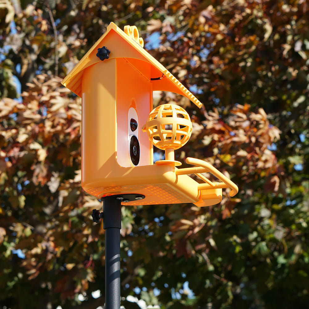 Hello Birdie Smart Bird Feeder Ground Stake– Limitless Innovations
