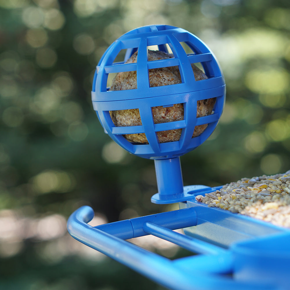 Hello Birdie Smart Bird Feeder with AppBased Recognition Limitless