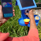 Hello Birdie Smart Bird Bath with App-Based Recognition