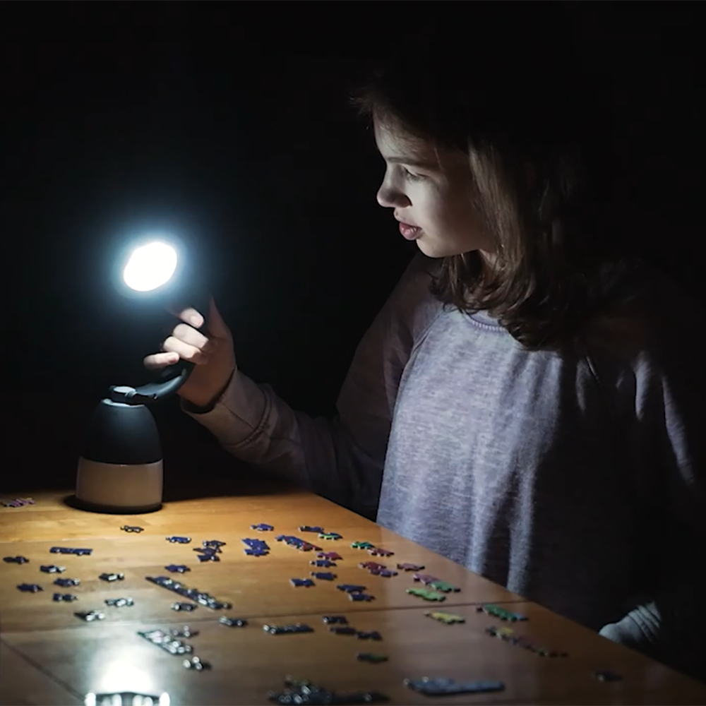 Flashlight Innovations Lumenology 4-In-1 Portable Flashlight, Lamp, & Lantern with USB Power ...